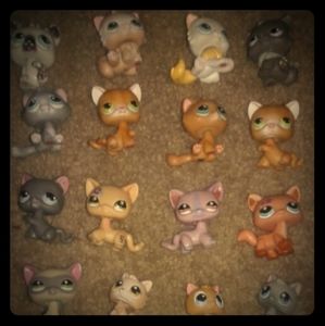 Old littlest pet shop